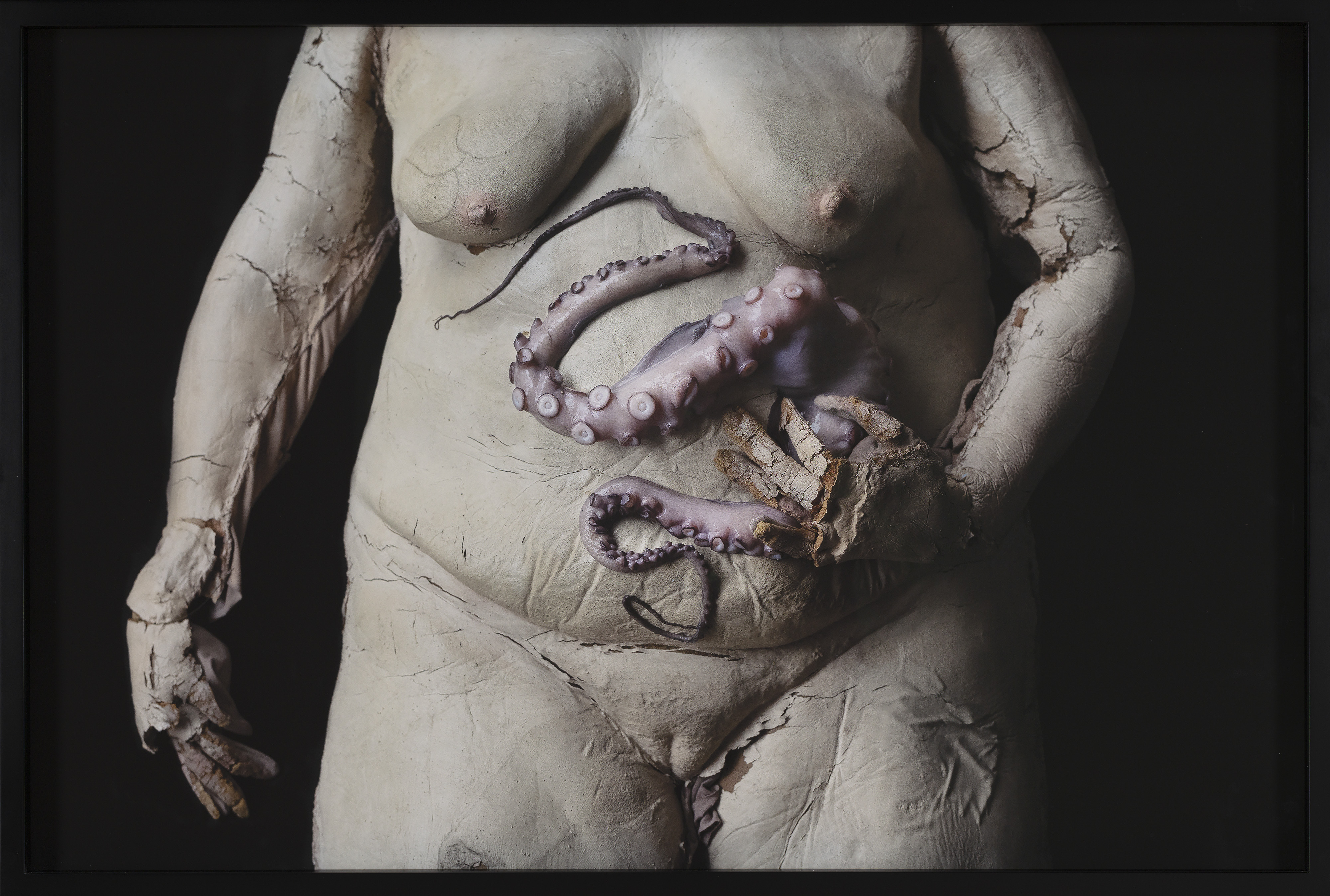 Feast (Fat Woman’s Belly)